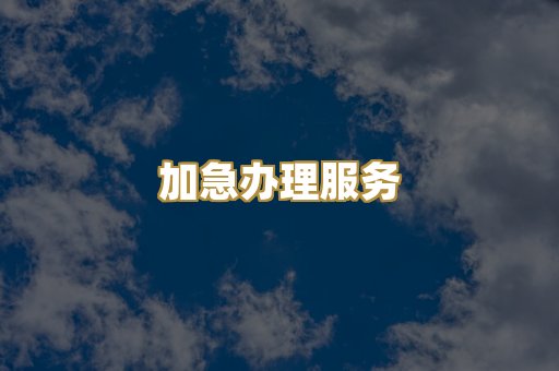 加急办理服务