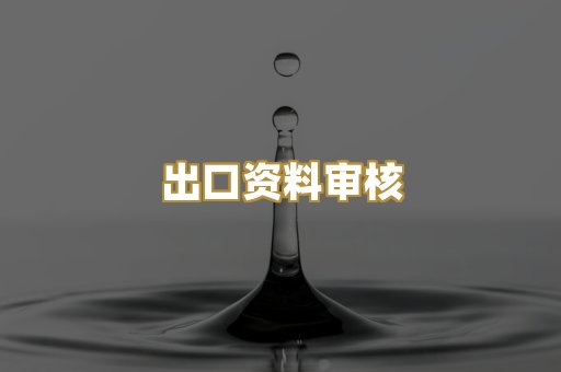 出口资料审核
