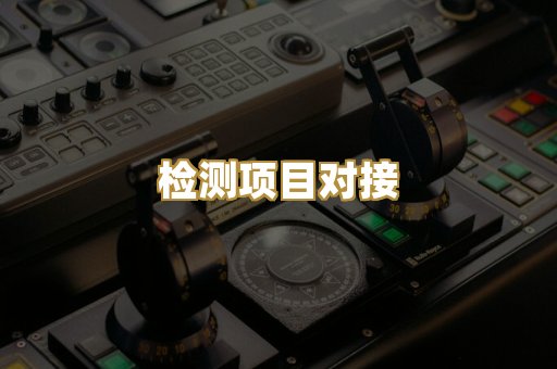 检测项目对接